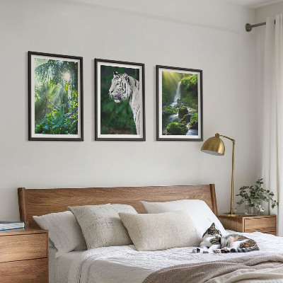Conjunto de 3 quadros com moldura Cachoeira do tigre da selva