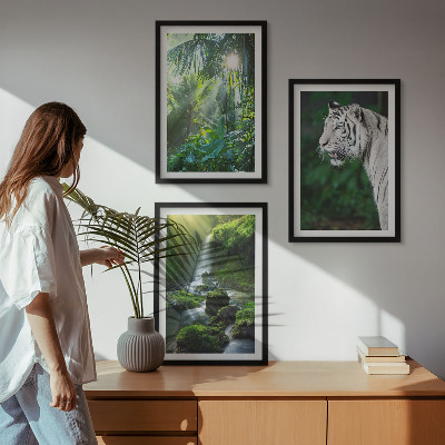 Conjunto de 3 quadros com moldura Cachoeira do tigre da selva