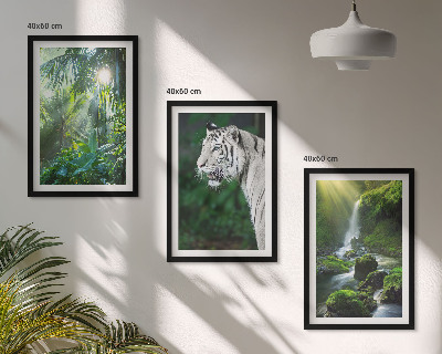 Conjunto de 3 quadros com moldura Cachoeira do tigre da selva