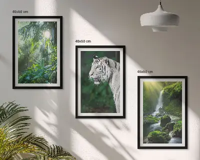 Conjunto de 3 quadros com moldura estampa de cachoeira e tigre na selva