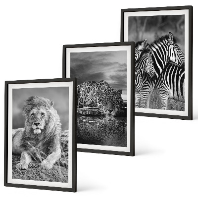 Conjunto de 3 quadros com moldura Animais selvagens da savana