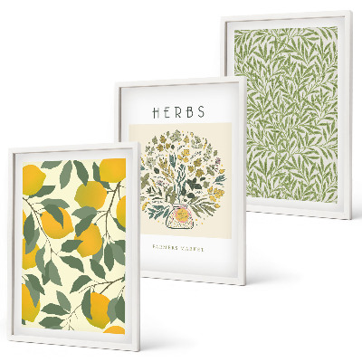 Conjunto de quadros para sala de estar Limões com ervas e folhas
