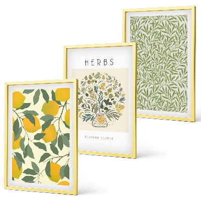 Conjunto de quadros para sala de estar Limões com ervas e folhas