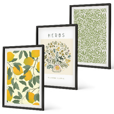 Conjunto de quadros para sala de estar Limões com ervas e folhas