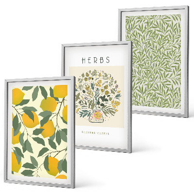 Conjunto de quadros para sala de estar Limões com ervas e folhas