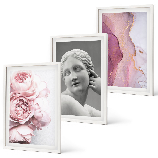Conjunto de 3 quadros com moldura Escultura abstrata de mulher com peônias