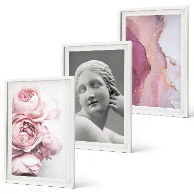 Conjunto de 3 quadros com moldura de escultura abstrata de mulher com peônias