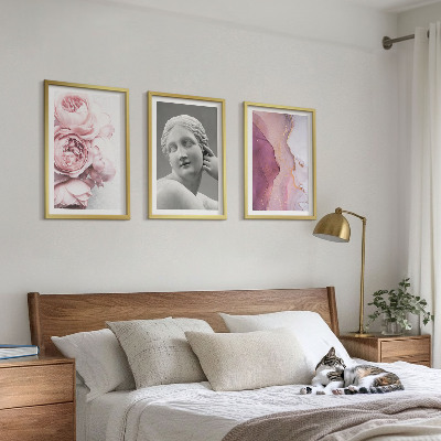 Conjunto de 3 quadros com moldura Escultura abstrata de mulher com peônias