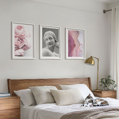 Conjunto de 3 quadros com moldura Escultura abstrata de mulher com peônias