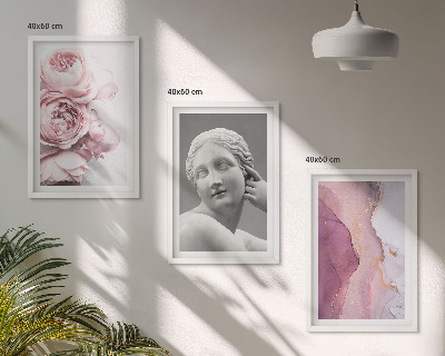 Conjunto de 3 quadros com moldura Escultura abstrata de mulher com peônias