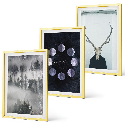 Conjunto de 3 quadros com moldura Paisagem florestal, neblina, lua, crânio de veado
