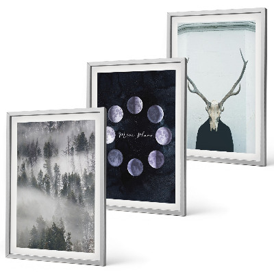 Conjunto de 3 quadros com moldura Paisagem florestal, neblina, lua, crânio de veado