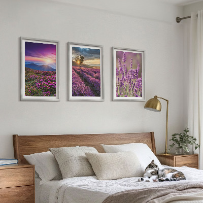 Composição de quadros moderna Pôr do sol nos campos de lavanda