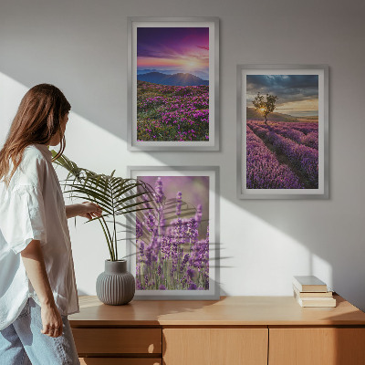 Composição de quadros moderna Pôr do sol nos campos de lavanda