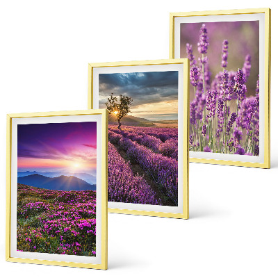 Composição de quadros moderna Pôr do sol nos campos de lavanda