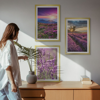 Composição de quadros moderna Pôr do sol nos campos de lavanda