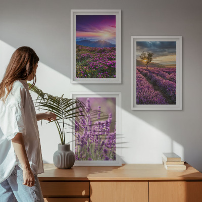 Composição de quadros moderna Pôr do sol nos campos de lavanda