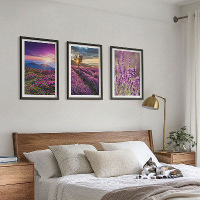 Composição de quadros moderna Pôr do sol nos campos de lavanda
