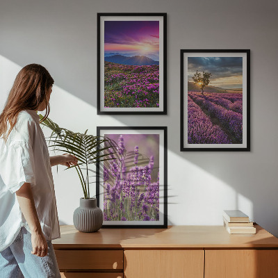 Composição de quadros moderna Pôr do sol nos campos de lavanda