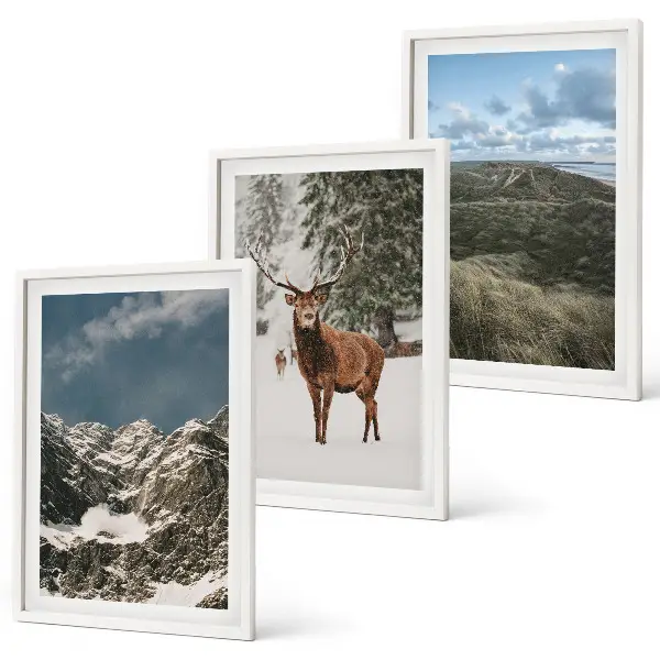 Conjunto de 3 quadros com moldura paisagem de floresta e cervos nas montanhas