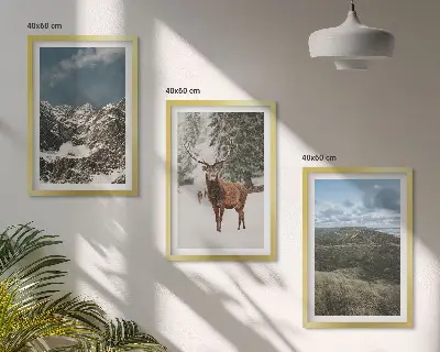 Conjunto de 3 quadros com moldura paisagem de floresta e cervos nas montanhas