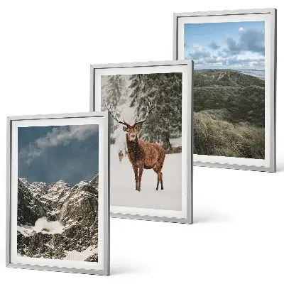 Conjunto de 3 quadros com moldura paisagem de floresta e cervos nas montanhas
