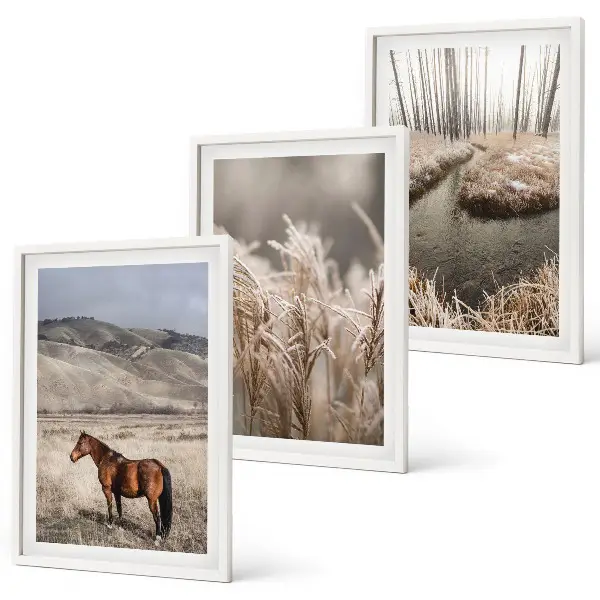 Conjunto de quadros para sala de estar com tema de cavalos, paisagem, grama e riacho