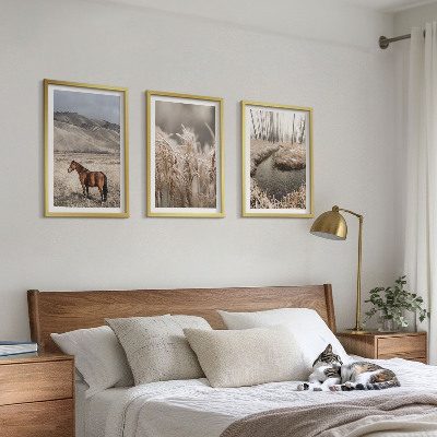 Conjunto de quadros para sala de estar Cavalos, paisagem, grama, riacho
