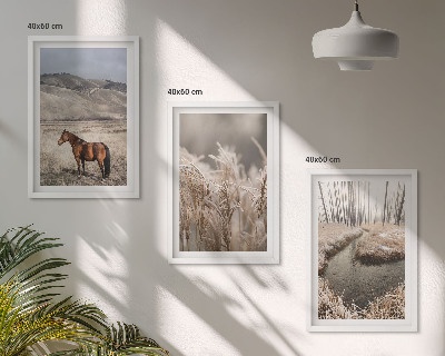 Conjunto de quadros para sala de estar Cavalos, paisagem, grama, riacho