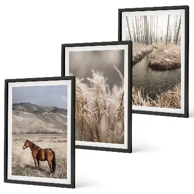 Conjunto de quadros para sala de estar com tema de cavalos, paisagem, grama e riacho