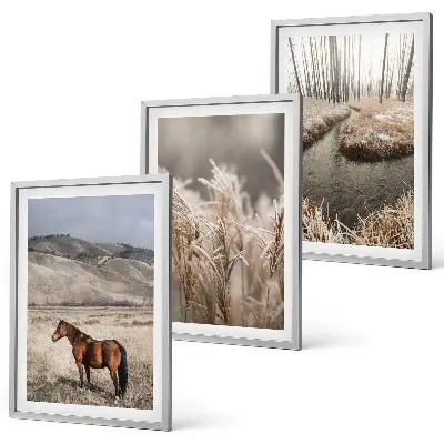 Conjunto de quadros para sala de estar com tema de cavalos, paisagem, grama e riacho
