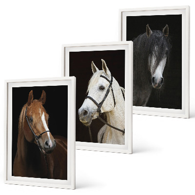 Composição de quadros moderna Retratos de cavalos em tons de pelo.