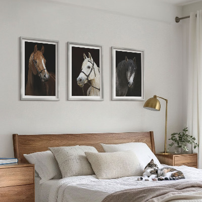Composição de quadros moderna Retratos de cavalos em tons de pelo.