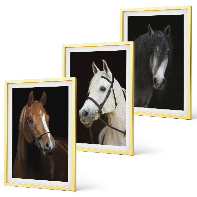 Composição de quadros moderna Retratos de cavalos em tons de pelo.
