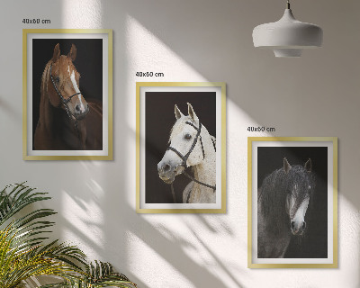 Composição de quadros moderna Retratos de cavalos em tons de pelo.