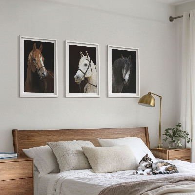 Composição de quadros moderna Retratos de cavalos em tons de pelo.