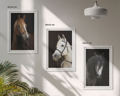 Composição de quadros moderna Retratos de cavalos em tons de pelo.
