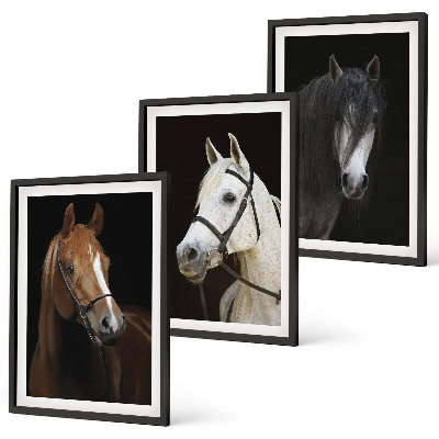 Composição de quadros moderna Retratos de cavalos em tons de pelo.
