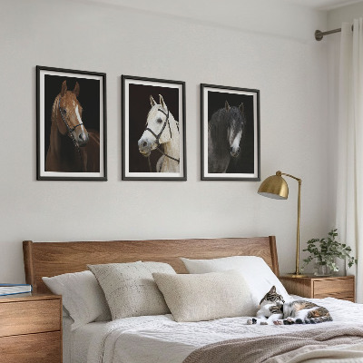 Composição de quadros moderna Retratos de cavalos em tons de pelo.
