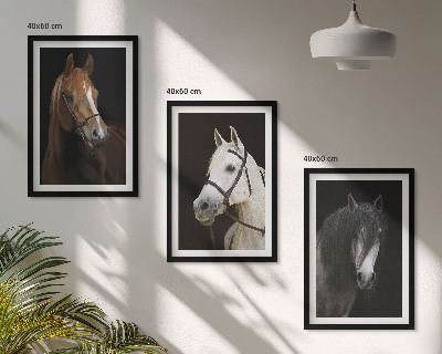 Composição de quadros moderna Retratos de cavalos em tons de pelo.