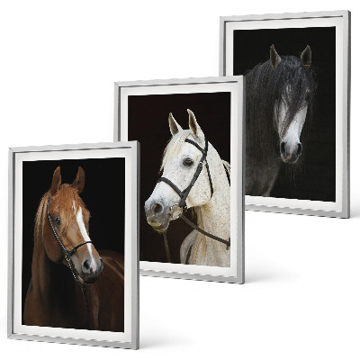 Composição de quadros moderna Retratos de cavalos em tons de pelo.