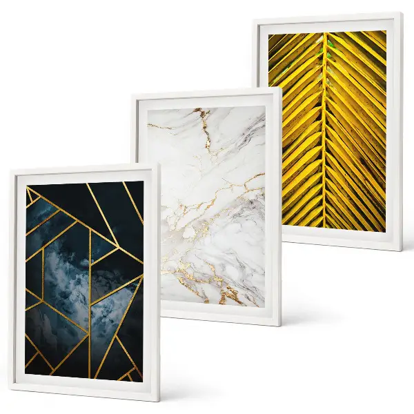 Composição de quadros moderna com padrões geométricos e vegetação