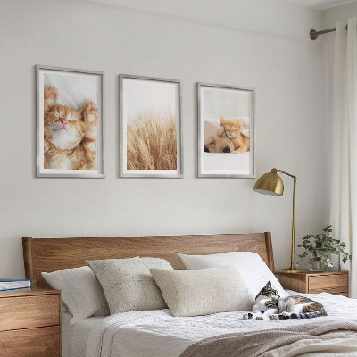 Conjunto de quadros para sala de estar Animais fofos, gatos, cachorros, estilo boho.