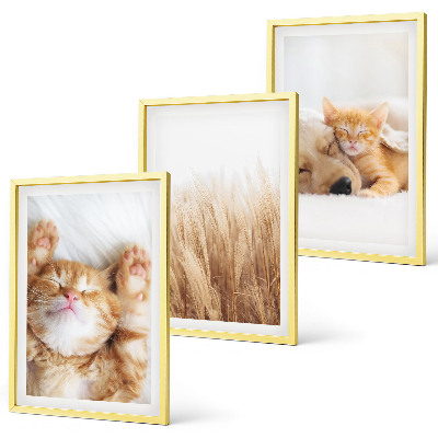 Conjunto de quadros para sala de estar Animais fofos, gatos, cachorros, estilo boho.