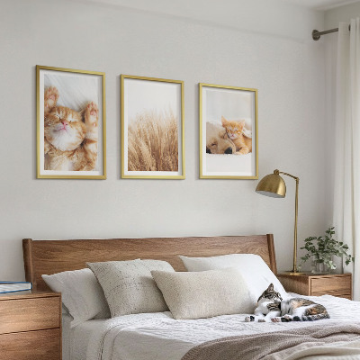 Conjunto de quadros para sala de estar Animais fofos, gatos, cachorros, estilo boho.