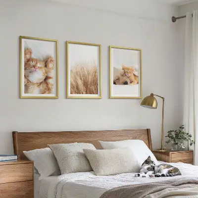 Conjunto de quadros para sala de estar com estampas de animais fofos, gatos e cachorros em estilo boho