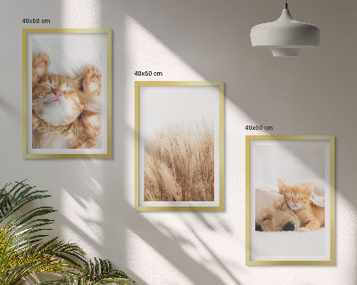 Conjunto de quadros para sala de estar Animais fofos, gatos, cachorros, estilo boho.