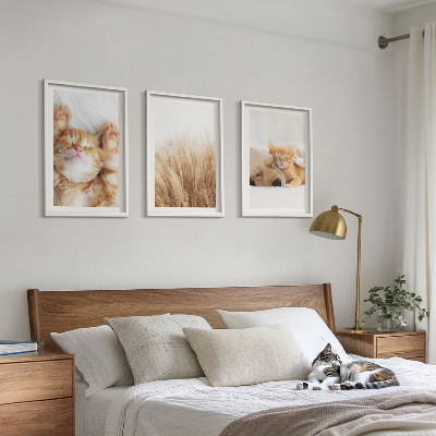 Conjunto de quadros para sala de estar Animais fofos, gatos, cachorros, estilo boho.