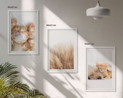 Conjunto de quadros para sala de estar Animais fofos, gatos, cachorros, estilo boho.