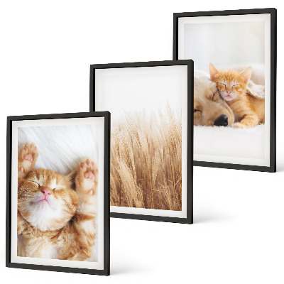 Conjunto de quadros para sala de estar Animais fofos, gatos, cachorros, estilo boho.
